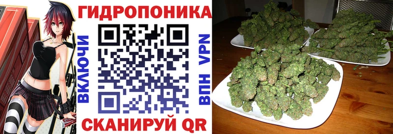 Канабис планчик  купить наркотики цена  Чита 